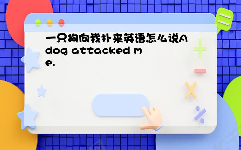 一只狗向我扑来英语怎么说A dog attacked me.