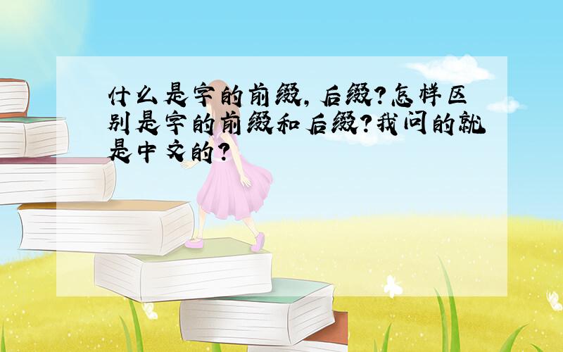 什么是字的前缀,后缀?怎样区别是字的前缀和后缀?我问的就是中文的？