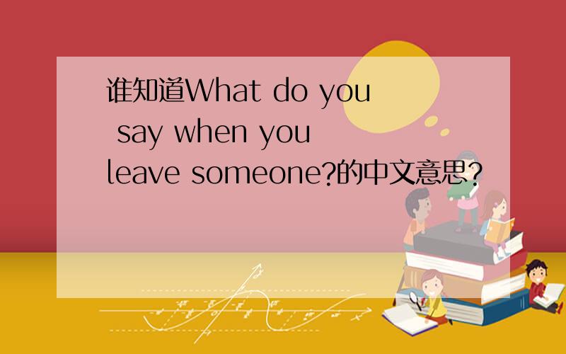谁知道What do you say when you leave someone?的中文意思?