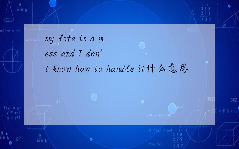 my life is a mess and I don't know how to handle it什么意思