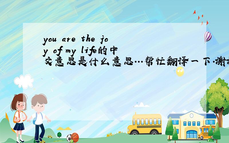 you are the joy of my life的中文意思是什么意思...帮忙翻译一下.谢谢...