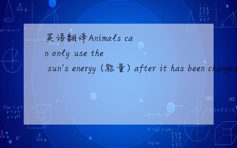 英语翻译Animals can only use the sun's energy (能量) after it has been changed into food by plants