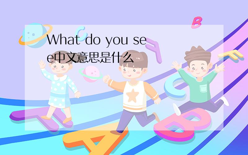 What do you see中文意思是什么