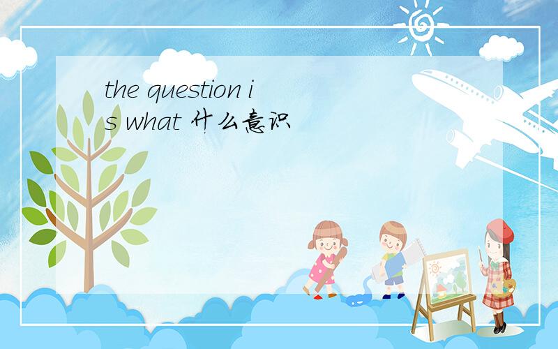 the question is what 什么意识