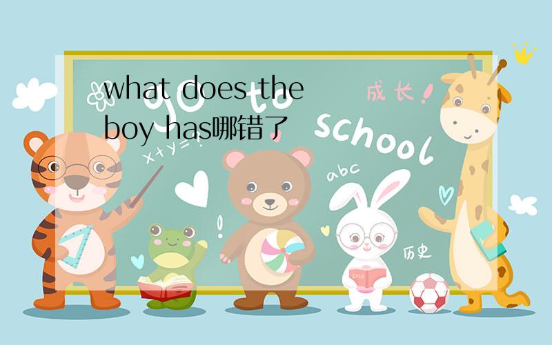 what does the boy has哪错了