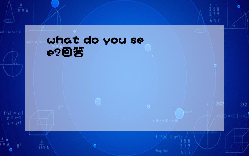 what do you see?回答