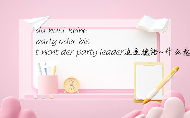 du hast keine party oder bist nicht der party leader这是德语~什么意思?