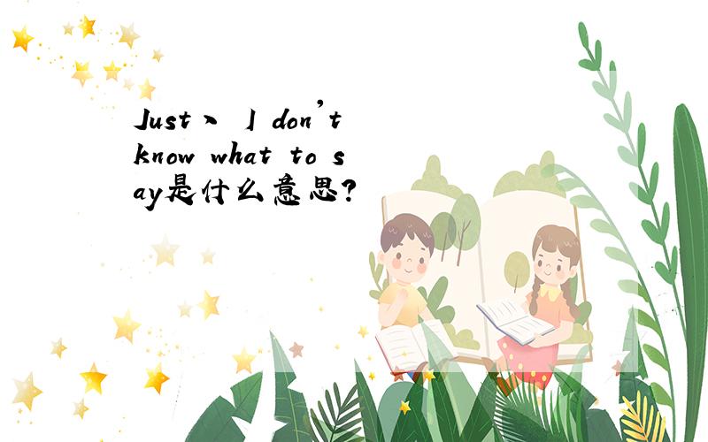 Just丶 I don't know what to say是什么意思?