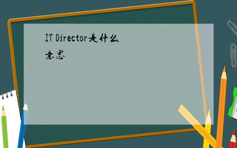 IT Director是什么意思