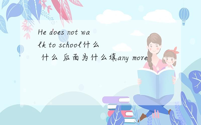 He does not walk to school什么 什么 后面为什么填any more