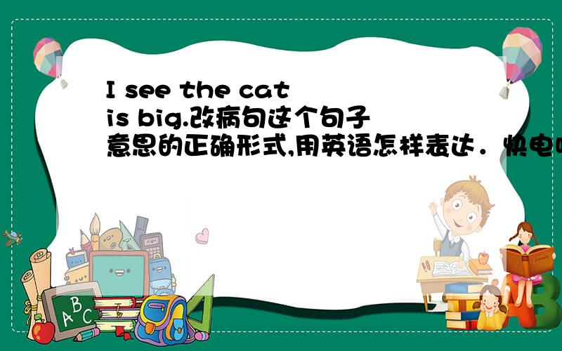 I see the cat is big.改病句这个句子意思的正确形式,用英语怎样表达．快电呀!