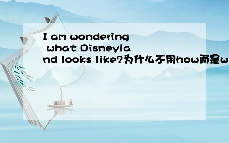 I am wondering what Disneyland looks like?为什么不用how而是what啊?