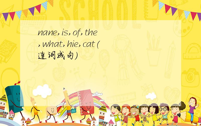 nane,is,of,the,what,hie,cat(连词成句）