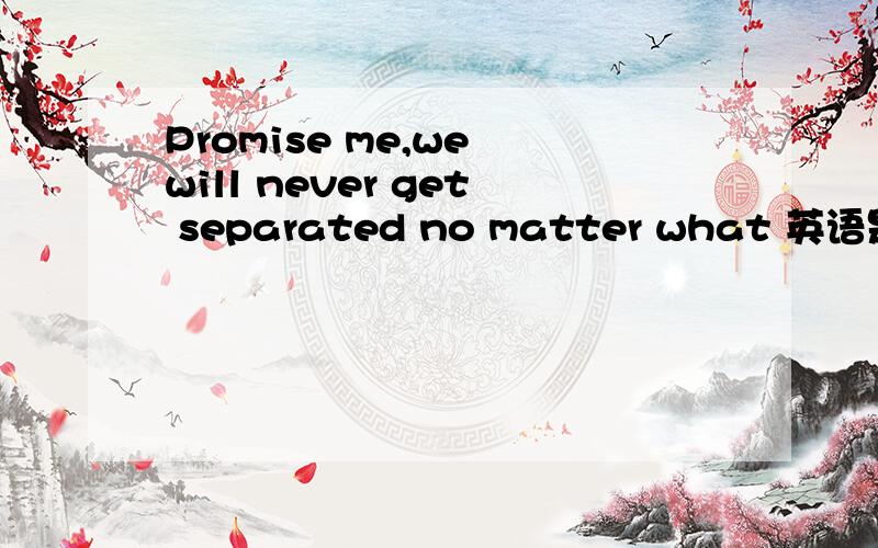 Promise me,we will never get separated no matter what 英语是什么