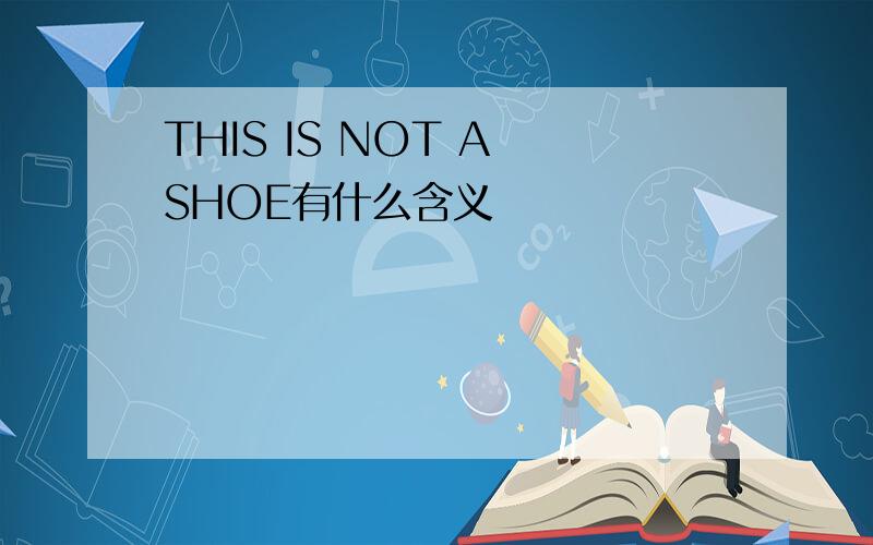 THIS IS NOT A SHOE有什么含义