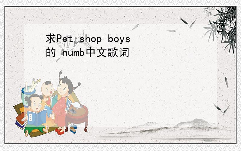 求Pet shop boys的 numb中文歌词