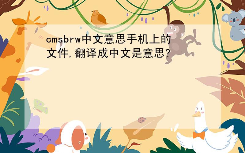 cmsbrw中文意思手机上的文件,翻译成中文是意思?