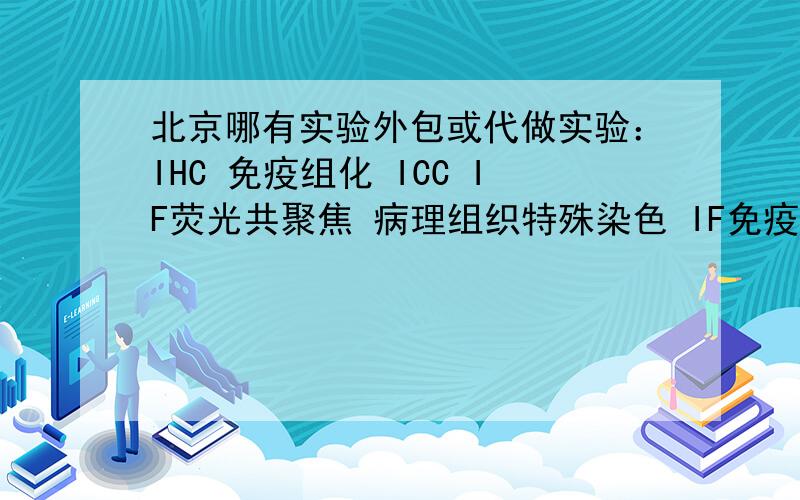 北京哪有实验外包或代做实验：IHC 免疫组化 ICC IF荧光共聚焦 病理组织特殊染色 IF免疫荧光 TUNE