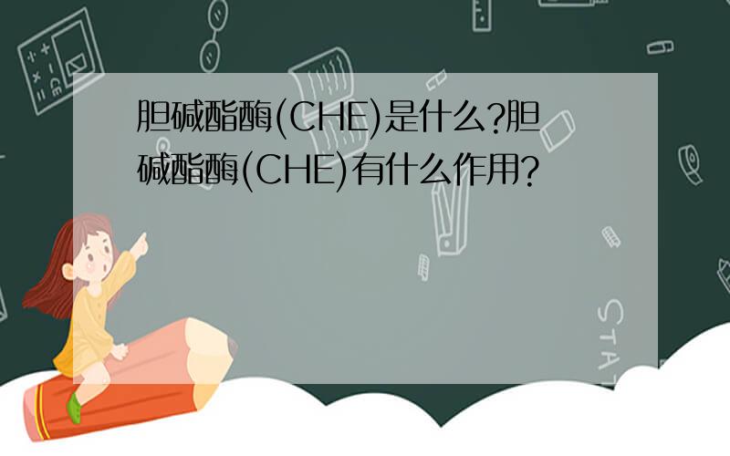胆碱酯酶(CHE)是什么?胆碱酯酶(CHE)有什么作用?