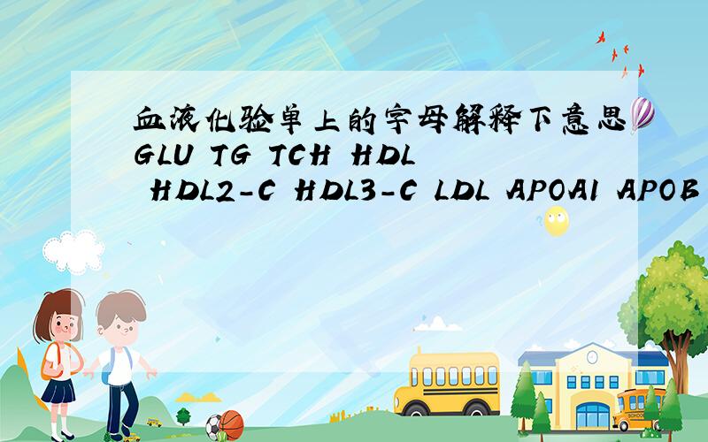 血液化验单上的字母解释下意思GLU TG TCH HDL HDL2-C HDL3-C LDL APOA1 APOB ALB TP A/G DBILI TBILI ALT AST A/A rGT ALP BUN cre