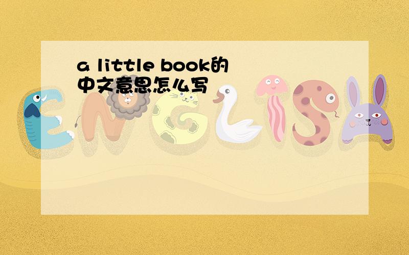 a little book的中文意思怎么写