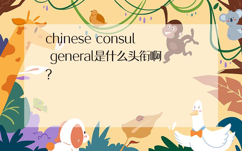 chinese consul general是什么头衔啊?