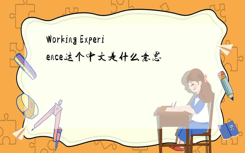 Working Experience这个中文是什么意思