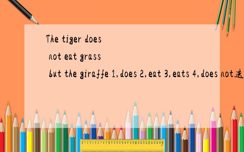 The tiger does not eat grass but the giraffe 1,does 2,eat 3,eats 4,does not选神?为什么？说理由啊