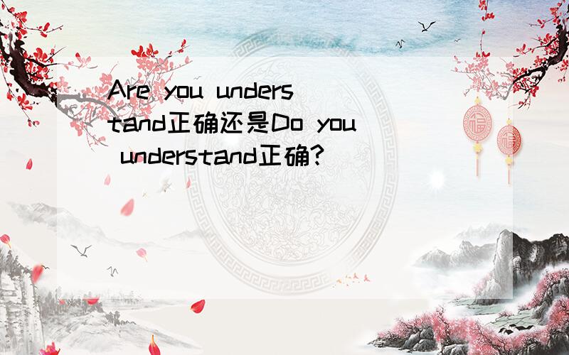 Are you understand正确还是Do you understand正确?