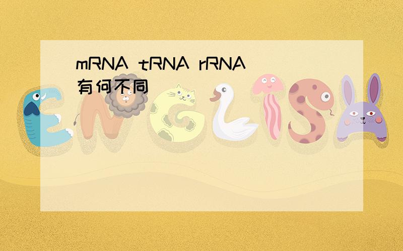 mRNA tRNA rRNA有何不同