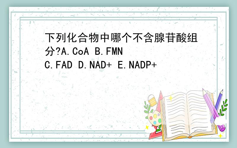 下列化合物中哪个不含腺苷酸组分?A.CoA B.FMN C.FAD D.NAD+ E.NADP+