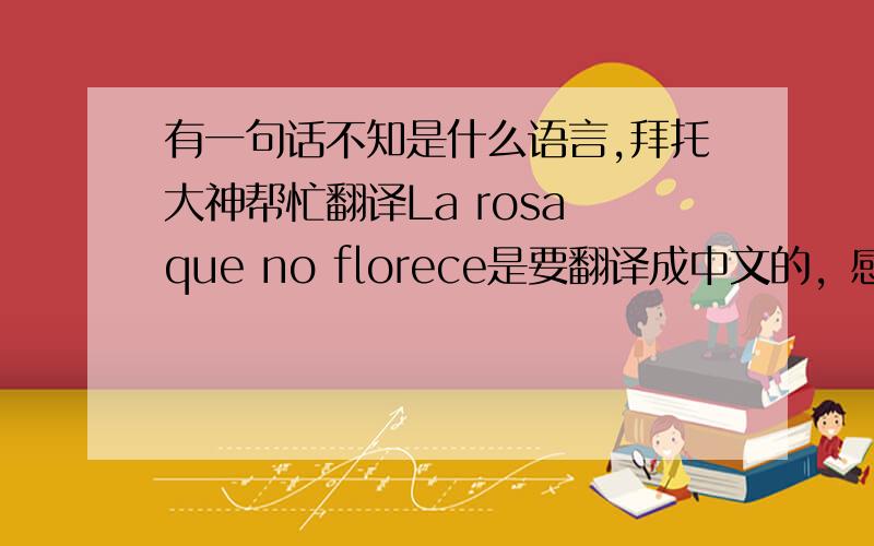 有一句话不知是什么语言,拜托大神帮忙翻译La rosa que no florece是要翻译成中文的，感谢！