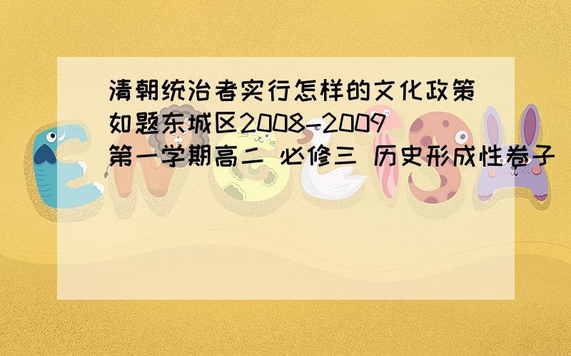 清朝统治者实行怎样的文化政策如题东城区2008-2009第一学期高二 必修三 历史形成性卷子