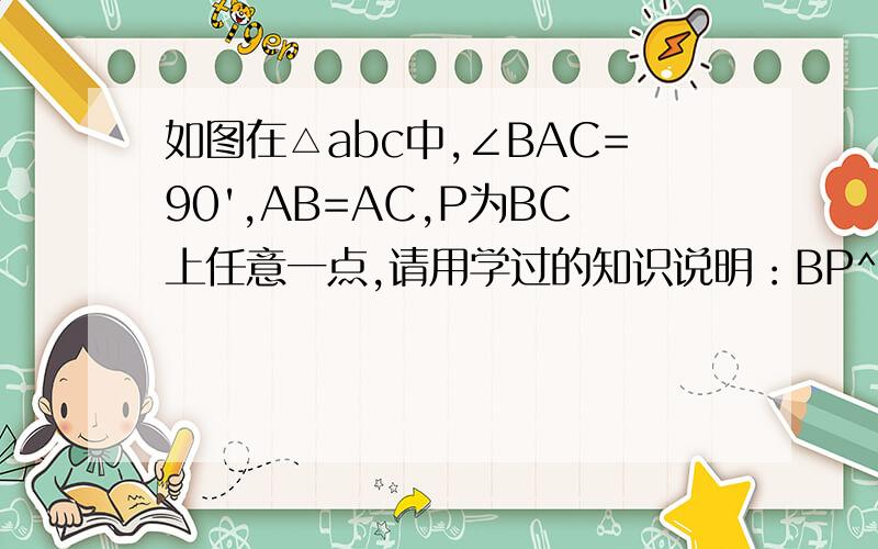 如图在△abc中,∠BAC=90',AB=AC,P为BC上任意一点,请用学过的知识说明：BP^2+CP^2=2AP^2我上初二了,学了勾股定理和实数运算